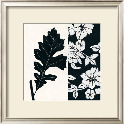 Black And White Ii by Stephanie Marrott Pricing Limited Edition Print image
