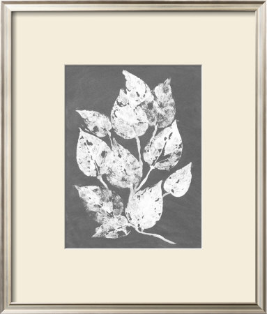 Frosty Philodendron I by Alicia Ludwig Pricing Limited Edition Print image