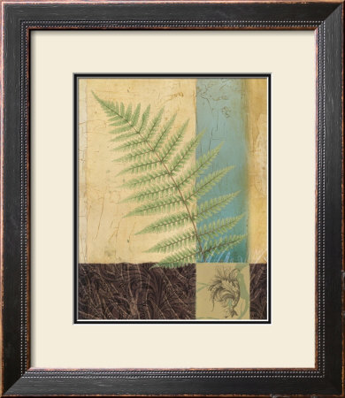 Fern Life Ii by Benny Diaz Pricing Limited Edition Print image