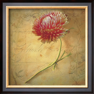 Little Strawflower by Sally Wetherby Pricing Limited Edition Print image
