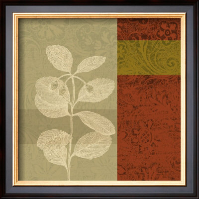 Plant Study Ii by Paula Scaletta Pricing Limited Edition Print image