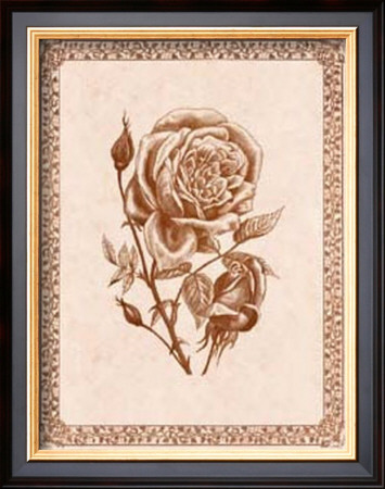 Sepia Rose I by Samuel Kay Pricing Limited Edition Print image