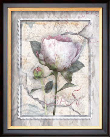 Love Letter Peonies by Alma Lee Pricing Limited Edition Print image
