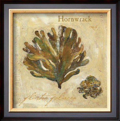 Hornwrack by Jillian David Pricing Limited Edition Print image