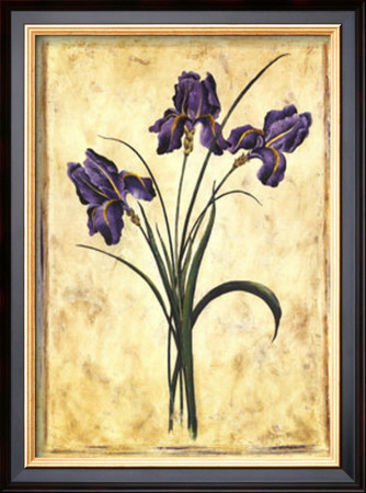 Moroccan Iris by Richard Henson Pricing Limited Edition Print image