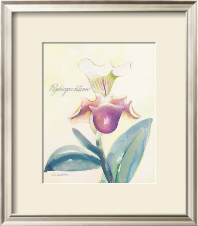 Cherry Orchid by Elissa Della-Piana Pricing Limited Edition Print image