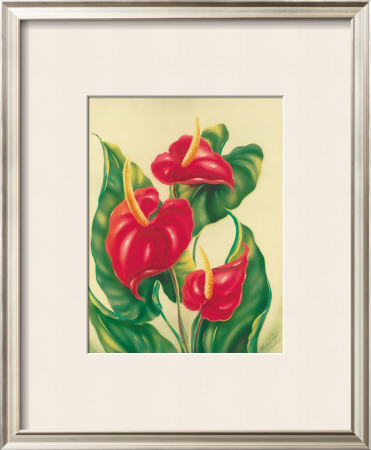 Anthurium Ii by Ted Mundorff Pricing Limited Edition Print image