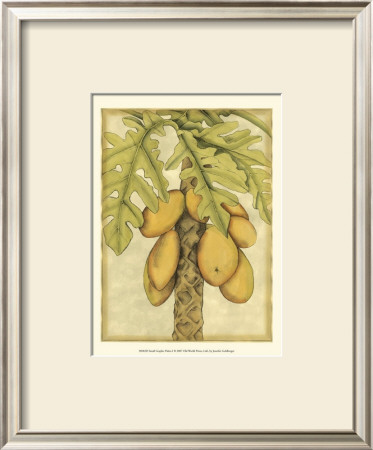 Graphic Palms I by Jennifer Goldberger Pricing Limited Edition Print image