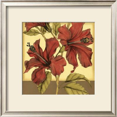 Cropped Sophisticated Hibiscus Ii by Jennifer Goldberger Pricing Limited Edition Print image
