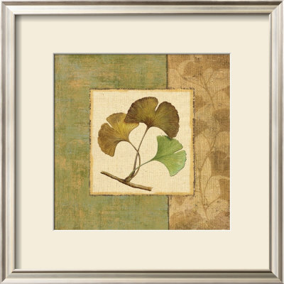Ginko Ii by Daphne Brissonnet Pricing Limited Edition Print image