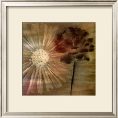 Ethereal Bloom Square I by Chris Zalewski Pricing Limited Edition Print image