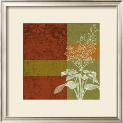 Plant Study I by Paula Scaletta Pricing Limited Edition Print image