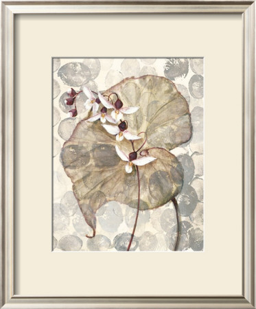 Amazonia Ii by Amore Pricing Limited Edition Print image