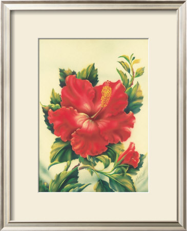 Red Hibiscus by Ted Mundorff Pricing Limited Edition Print image