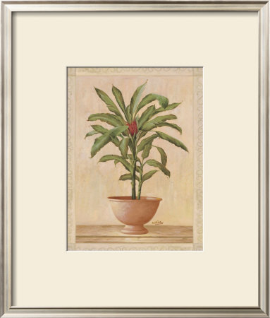 Potted Palm I by Welby Pricing Limited Edition Print image