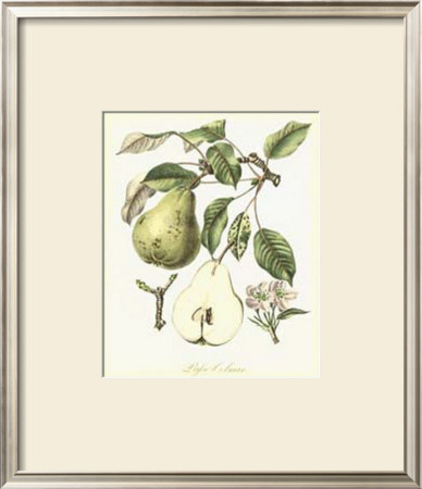 French Pear Study I by Francois Langlois Pricing Limited Edition Print image