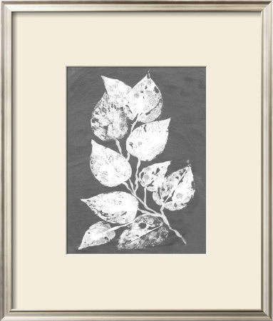 Frosty Philodendron Ii by Alicia Ludwig Pricing Limited Edition Print image