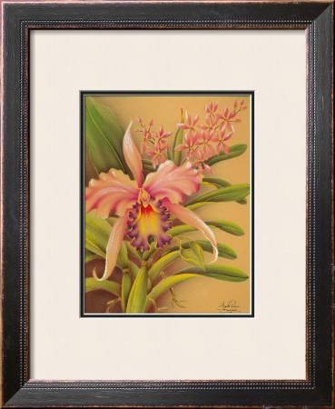 Pink Cattleya by Hale Pua Studio Pricing Limited Edition Print image