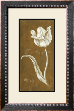 White Tulipa No. 42 by Stela Klein Pricing Limited Edition Print image