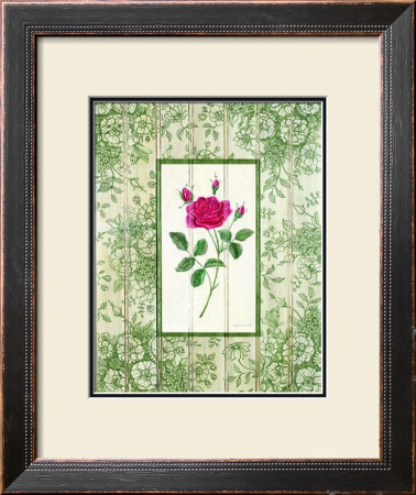 Fragrant Toile I by Kari Phillips Pricing Limited Edition Print image