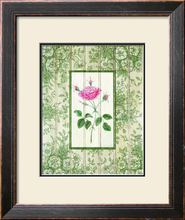 Fragrant Toile Ii by Kari Phillips Pricing Limited Edition Print image