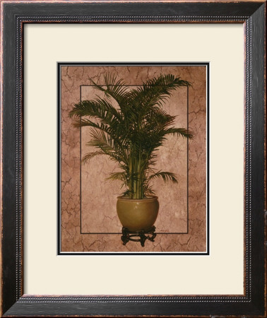 Potted Palm I by T. C. Chiu Pricing Limited Edition Print image