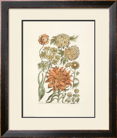 Flowers by Sir John Hill Pricing Limited Edition Print image