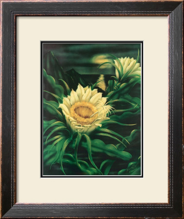 Blooming Cereus With Full Moon by Ted Mundorff Pricing Limited Edition Print image