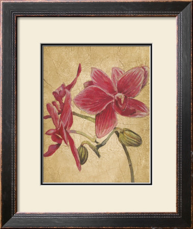 Hawaiiantropics Ii by Elizabeth Jardine Pricing Limited Edition Print image