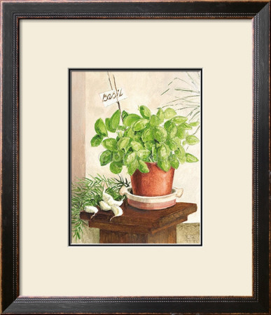 Basil In A Clay Pot by Ina Van Toor Pricing Limited Edition Print image
