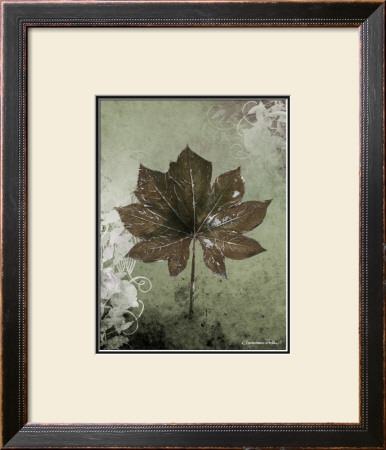 Dry Leaf I by Patricia Quintero-Pinto Pricing Limited Edition Print image