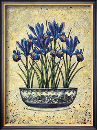Iris Reticulata by Richard Henson Pricing Limited Edition Print image