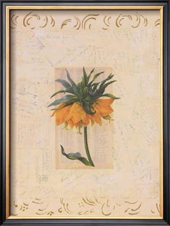 Island Botanical L by Jan Weiss Pricing Limited Edition Print image