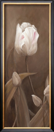 Sepia Tulip Panel I by Wendy Darker Pricing Limited Edition Print image