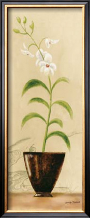 Asian Orchid I by Jennifer Matla Pricing Limited Edition Print image