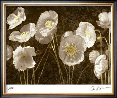 Baroque Poppies by Ives Mccoll Pricing Limited Edition Print image