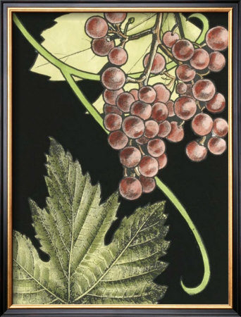 Dynamic Grapes I by Ethan Harper Pricing Limited Edition Print image