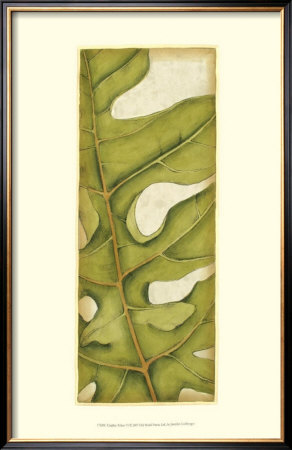 Graphic Palms Vi by Jennifer Goldberger Pricing Limited Edition Print image