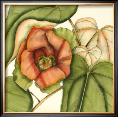 Tropical Blooms And Foliage Iv by Jennifer Goldberger Pricing Limited Edition Print image