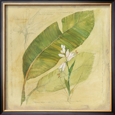 Botanical Study I by Avery Tillmon Pricing Limited Edition Print image
