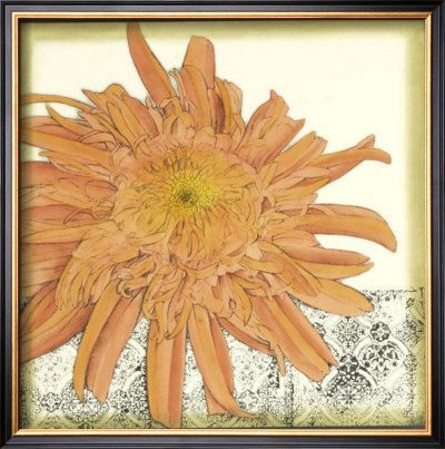 Botanica I by Jennifer Goldberger Pricing Limited Edition Print image