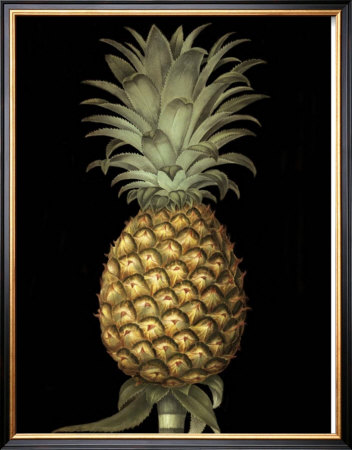 Brookshaw Exotic Pineapple I by George Brookshaw Pricing Limited Edition Print image
