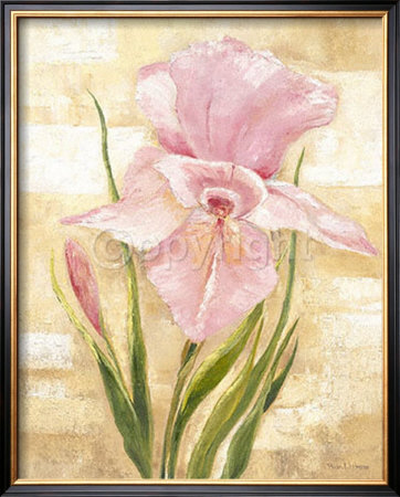Rose Iris by Rian Withaar Pricing Limited Edition Print image