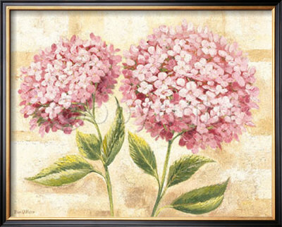 Rose Hydrangea by Rian Withaar Pricing Limited Edition Print image
