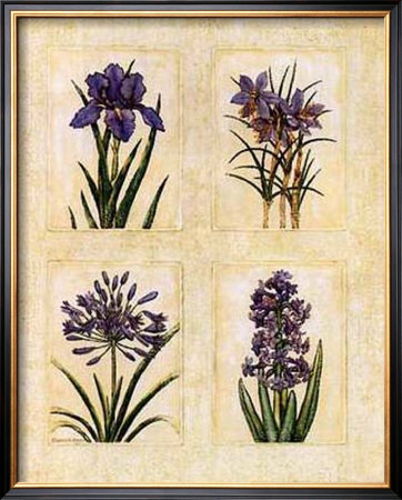Antique Lavender I by Richard Henson Pricing Limited Edition Print image