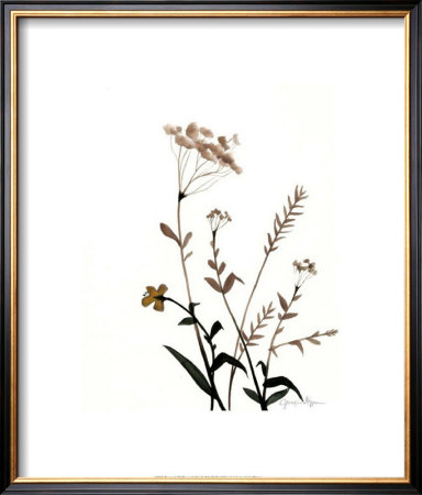 Watermark Wildflowers X by Jennifer Goldberger Pricing Limited Edition Print image