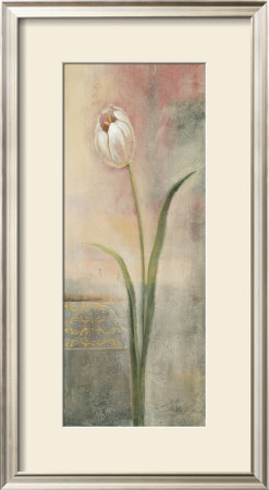 Elegant Tulip by Silvia Vassileva Pricing Limited Edition Print image