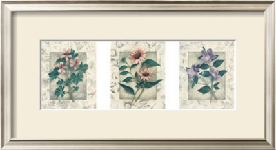 Healing Herbs, Panel Ii by Julie Nightingale Pricing Limited Edition Print image