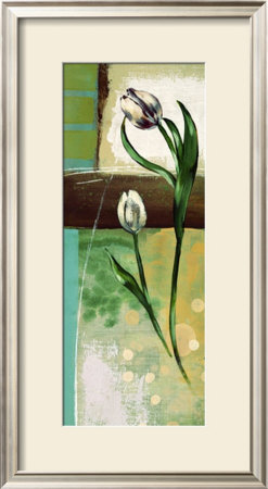 Floral Splendor Iii by Selina Werbelow Pricing Limited Edition Print image