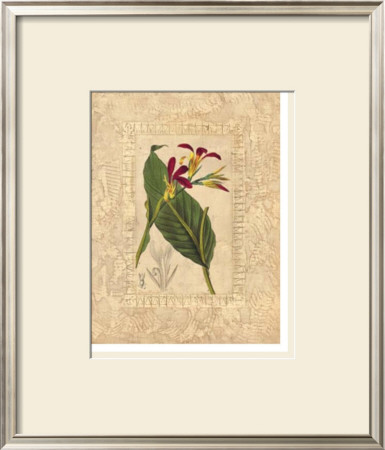 Estudio De Flores I by Javier Fuentes Pricing Limited Edition Print image